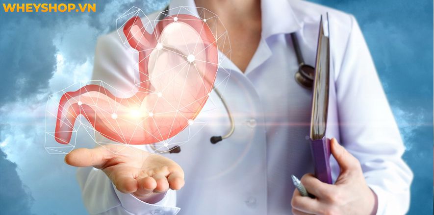 Rượu dâu tây là thức uống bồi bổ sức khỏe rất tốt được ưa chuộng với các tác dụng như hỗ trợ tiêu hóa, sảng khoái tinh thần,... Vậy cách ngâm rượu dâu tây...