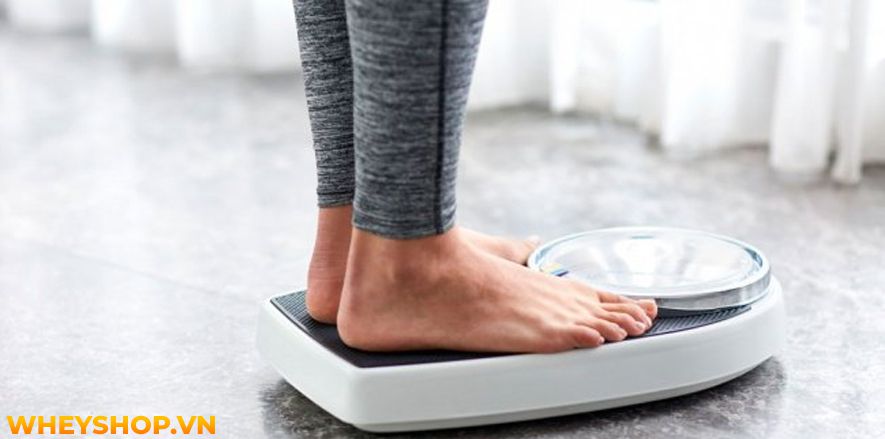Thể dục nhịp điệu aerobic chắc hẳn không còn xa lạ gì đối với những người muốn giảm cân, giảm mỡ nhanh chóng ở Việt Nam. Tuy nhiên, bạn có biết thực chất tập...