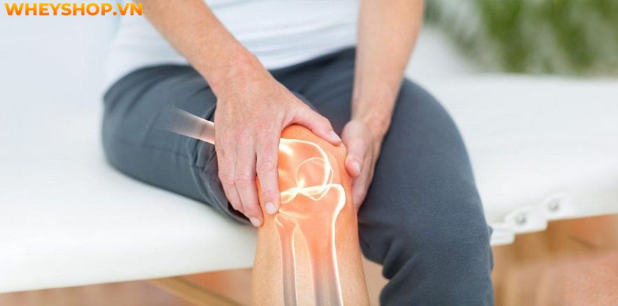 Việc đi xe đạp tập thể dục hàng ngày mang lại không ít lợi ích đối với sức khỏe của con người. Thế nhưng việc chọn mua 1 chiếc xe đạp tập thể dục để luyện...