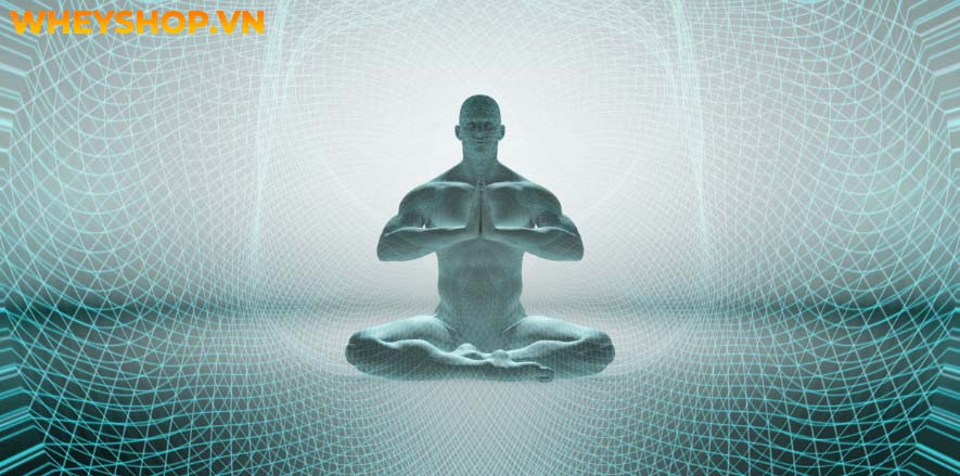 Kundalini yoga là một trường phái Yoga tập trung vào sức khỏe tinh thần với mục đích đánh thức trí tuệ và nguồn năng lượng từ bên trong mỗi người mà bạn hoàn...