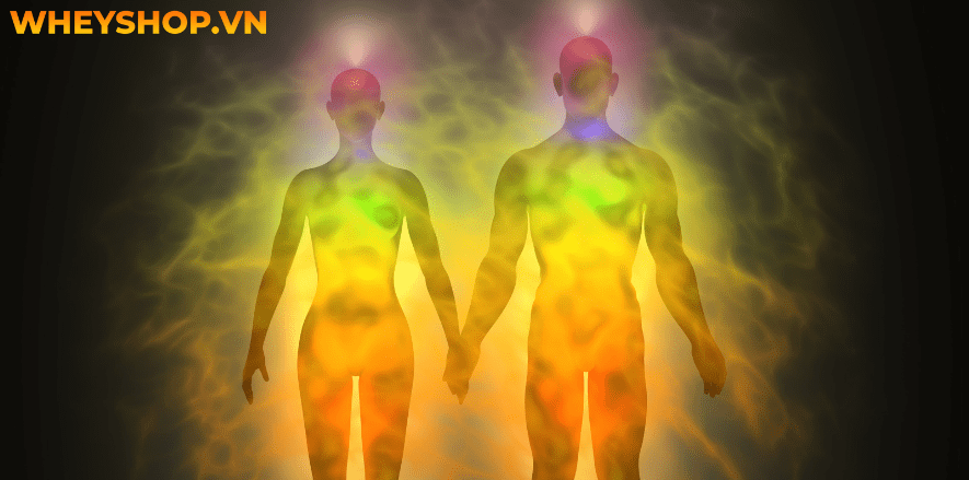 Kundalini yoga là một trường phái Yoga tập trung vào sức khỏe tinh thần với mục đích đánh thức trí tuệ và nguồn năng lượng từ bên trong mỗi người mà bạn hoàn...