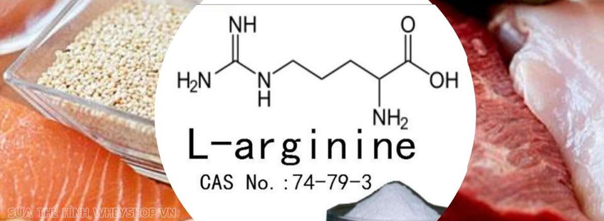 L Arginine la gi vai tro cua L Arginine doi voi gym (1)