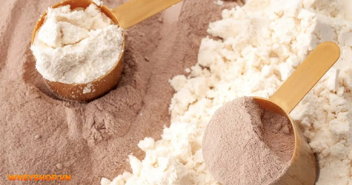 l-carnitine-la-gi-tac-dung-cua-l-carnitine-la-gi-01-02