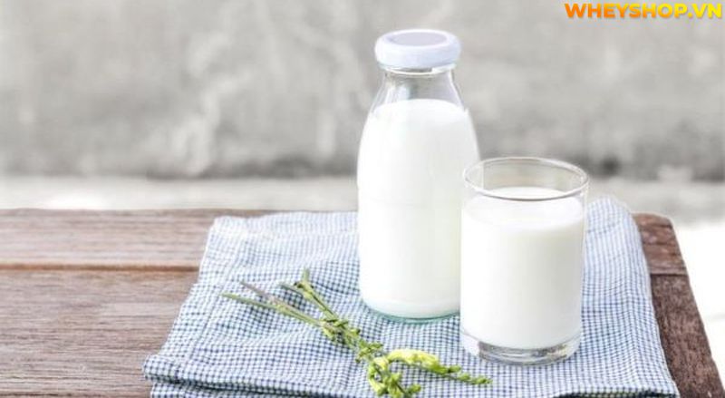 Lactose là gì ? Tìm hiểu khái niệm về Lactose và cách khắc phục các trường hợp tiêu chảy đi ngoài khi sử dụng Whey Mass có chứa thành phần Lactose...