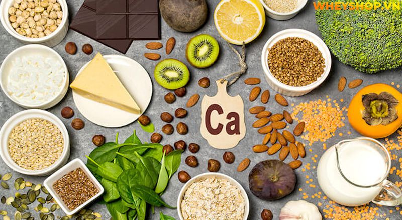Lactose là gì ? Tìm hiểu khái niệm về Lactose và cách khắc phục các trường hợp tiêu chảy đi ngoài khi sử dụng Whey Mass có chứa thành phần Lactose...