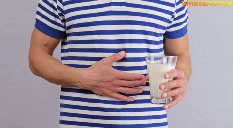 Lactose là gì ? Tìm hiểu khái niệm về Lactose và cách khắc phục các trường hợp tiêu chảy đi ngoài khi sử dụng Whey Mass có chứa thành phần Lactose...