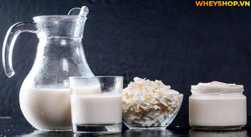 Lactose là gì ? Tìm hiểu khái niệm về Lactose và cách khắc phục các trường hợp tiêu chảy đi ngoài khi sử dụng Whey Mass có chứa thành phần Lactose...