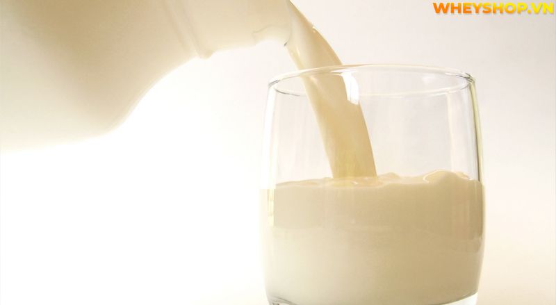 Lactose là gì ? Tìm hiểu khái niệm về Lactose và cách khắc phục các trường hợp tiêu chảy đi ngoài khi sử dụng Whey Mass có chứa thành phần Lactose...