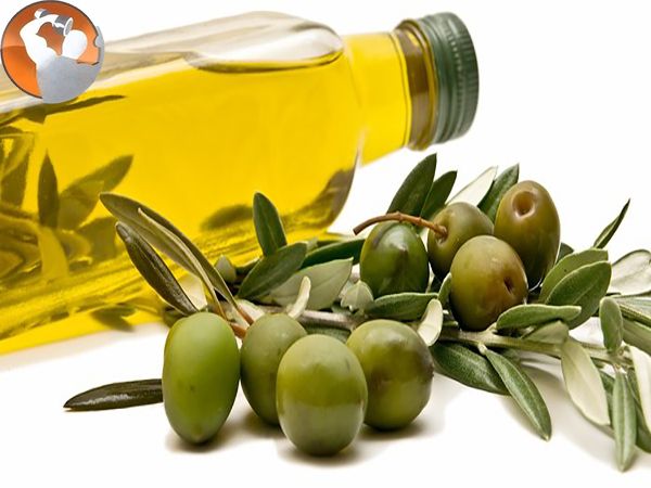 Bộ công cụ thông tin cơ bản giải đáp việc làm thế nào để tăng cân nhanh lam the nao de tang can nhanh