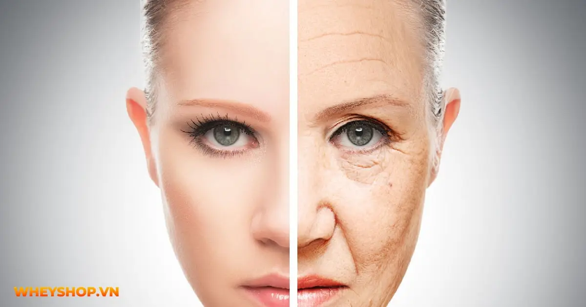 lao-hoa-nguoc-la-gi-06-min