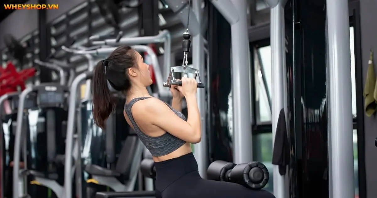 lat-pulldown-la-gi-5
