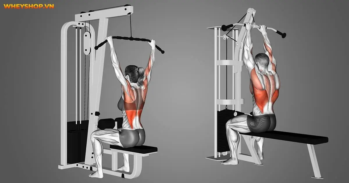 lat-pulldown-la-gi-5
