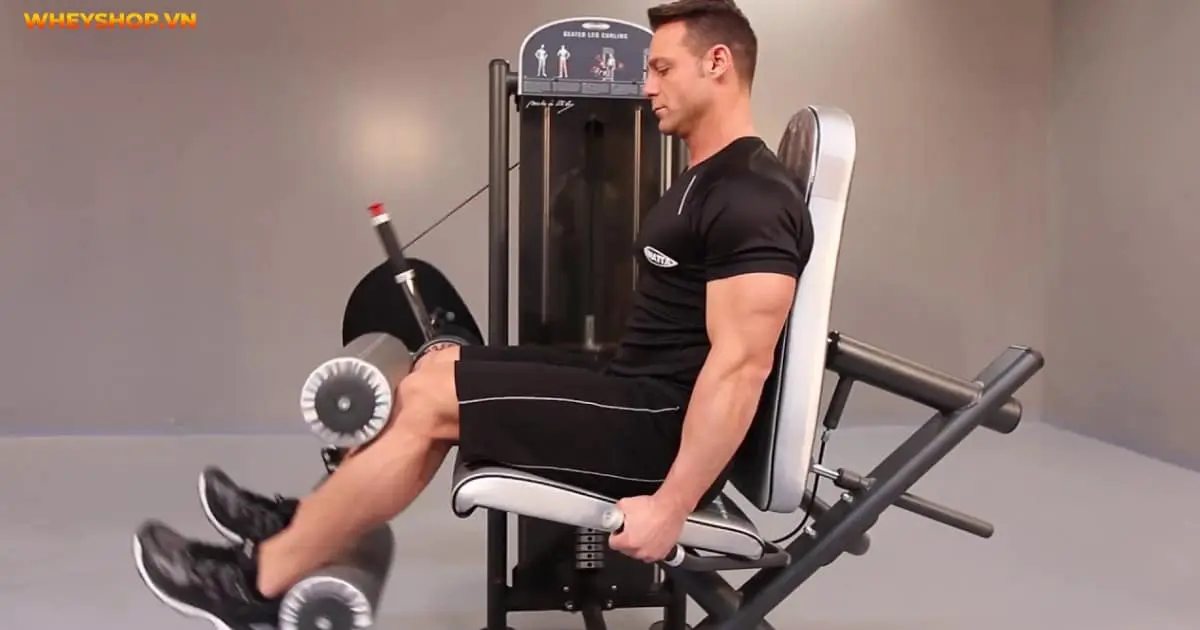 leg-curl-la-gi-huong-dan-7-bai-tap-leg-curl-2