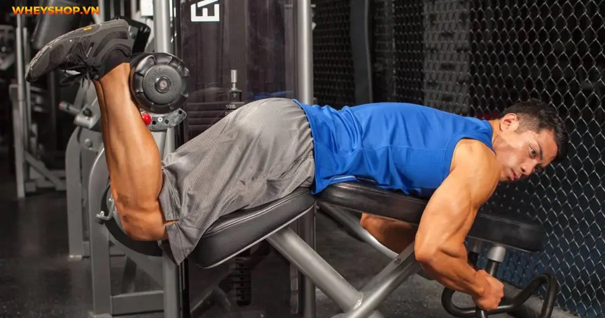 leg-curl-la-gi-huong-dan-7-bai-tap-leg-curl-3