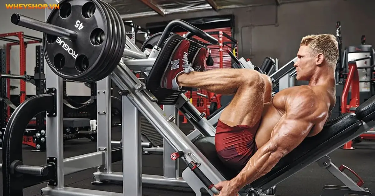 leg-press-5-cach-tap-dui-to-san-chac-chua-ai-biet-5