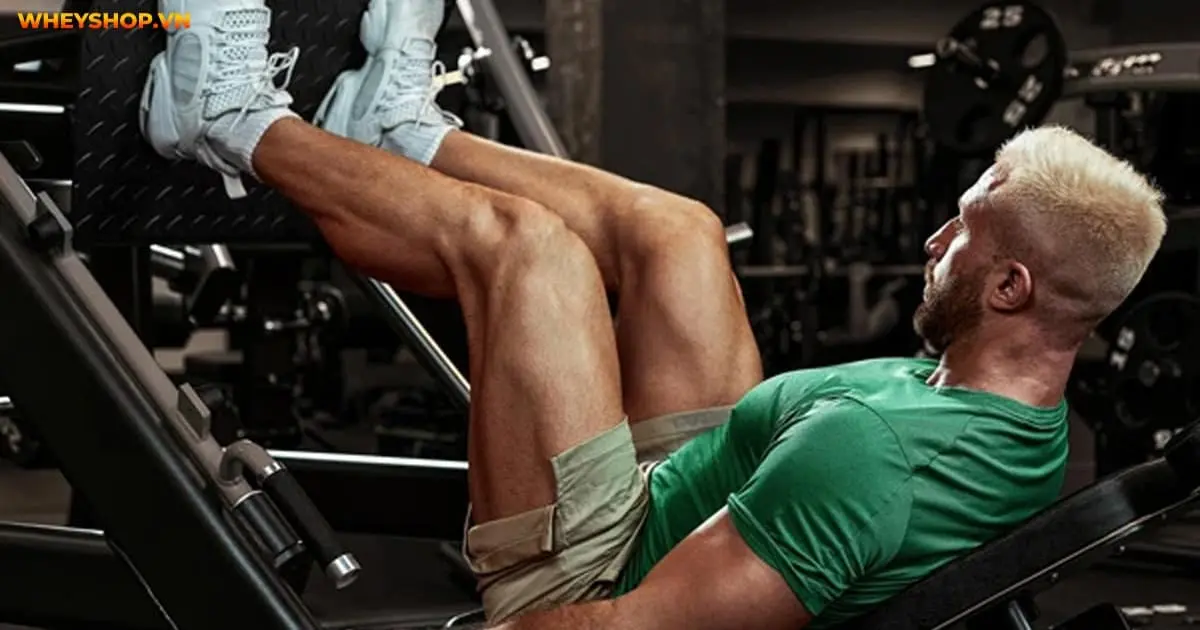 leg-press-5-cach-tap-dui-to-san-chac-chua-ai-biet-5