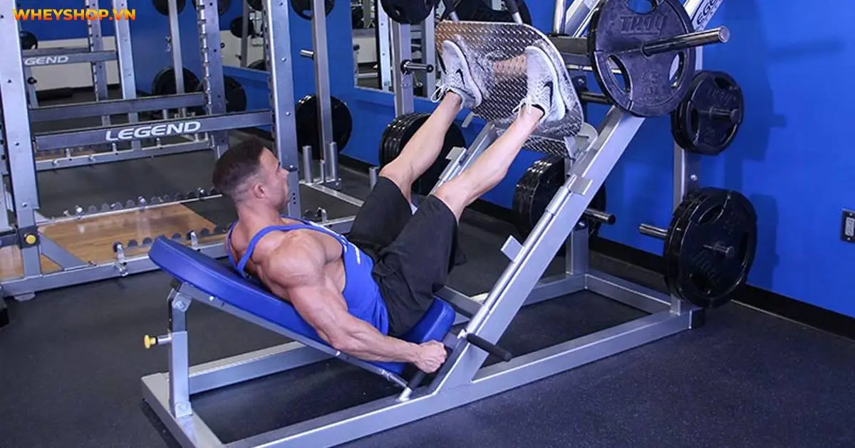 leg-press-5-cach-tap-dui-to-san-chac-chua-ai-biet-5