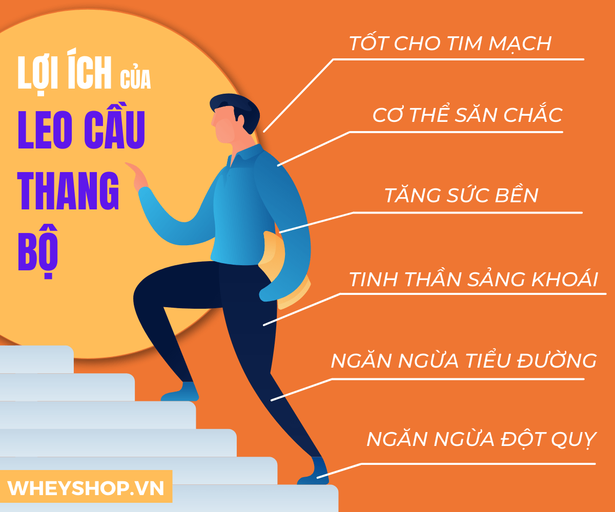 leo cầu thang có giảm mỡ bụng ko