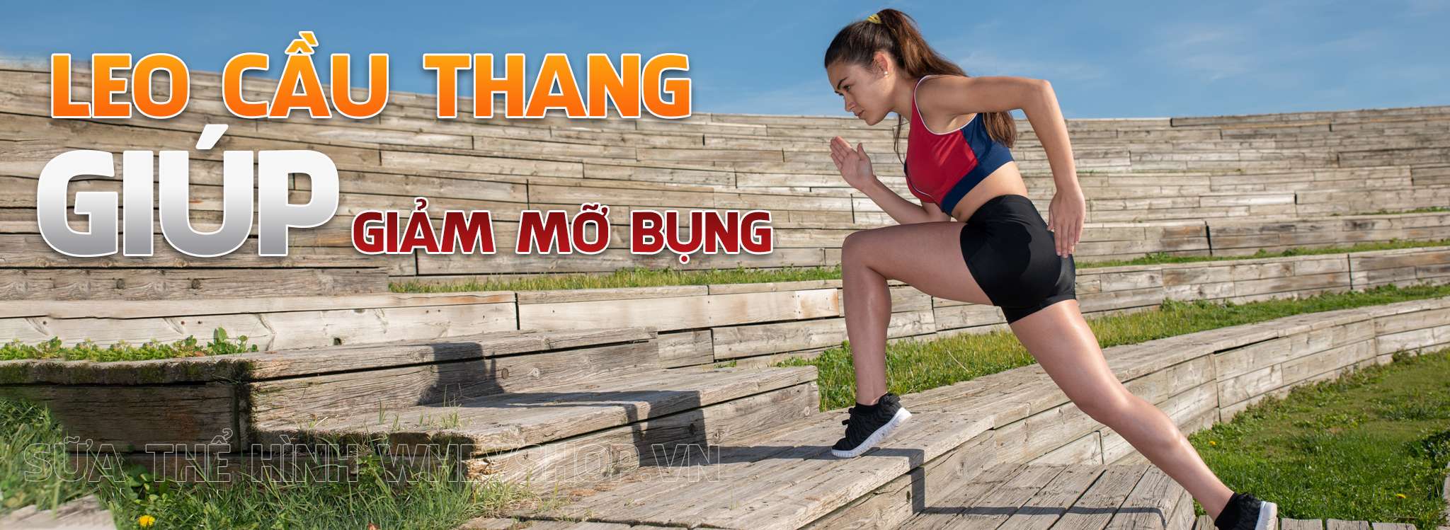 leo cau thang giup giam mo bung hieu qua wheyshop