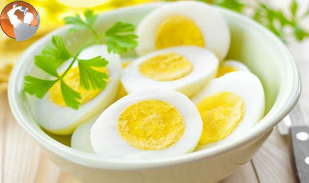 lịch dinh dưỡng cho người tập thể hình lịch dinh dưỡng cho người tập thể hình