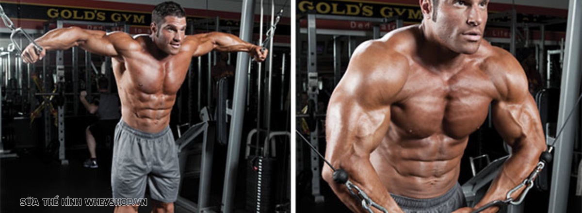 Cùng WheyShop tham khảo lịch tập gym cho nam 6 buổi 1 tuần hỗ trợ tăng cơ tăng sức mạnh hiệu quả. Lịch tập gym chi tiết kèm hình ảnh minh họa,...