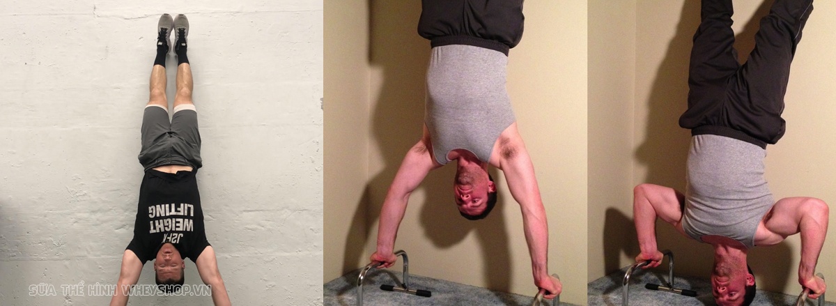 Cùng WheyShop tham khảo lịch tập gym cho nam 6 buổi 1 tuần hỗ trợ tăng cơ tăng sức mạnh hiệu quả. Lịch tập gym chi tiết kèm hình ảnh minh họa,...