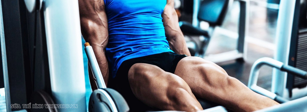 Cùng WheyShop tham khảo lịch tập gym cho nam 6 buổi 1 tuần hỗ trợ tăng cơ tăng sức mạnh hiệu quả. Lịch tập gym chi tiết kèm hình ảnh minh họa,...