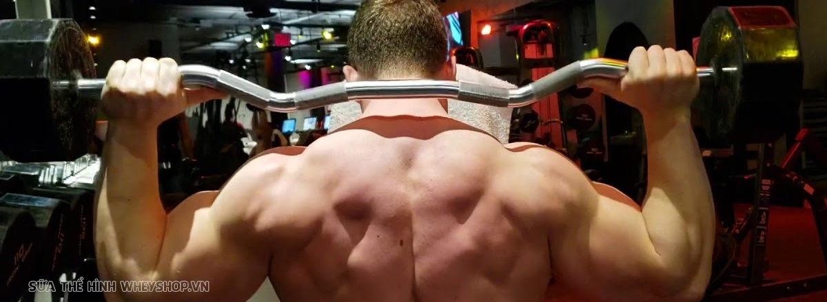 Cùng WheyShop tham khảo lịch tập gym cho nam 6 buổi 1 tuần hỗ trợ tăng cơ tăng sức mạnh hiệu quả. Lịch tập gym chi tiết kèm hình ảnh minh họa,...