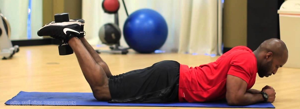 Cùng WheyShop tham khảo lịch tập gym cho nam 6 buổi 1 tuần hỗ trợ tăng cơ tăng sức mạnh hiệu quả. Lịch tập gym chi tiết kèm hình ảnh minh họa,...