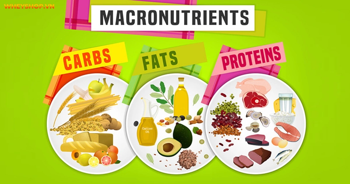 lich-tap-gym-cho-nu-5-ngay-giam-can-giam-mo-7