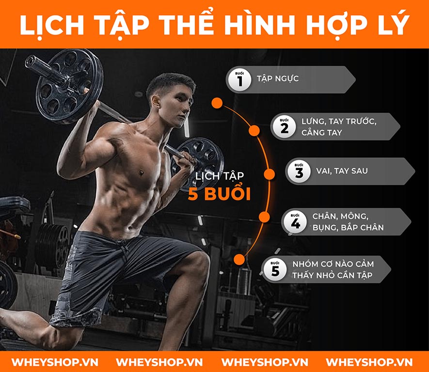 Cùng Dinh Dưỡng Thể Hình tìm hiểu về những lịch tập phát triển cơ bắp hiệu quả và phổ biến nhất hiện nay qua bài viết nhé.