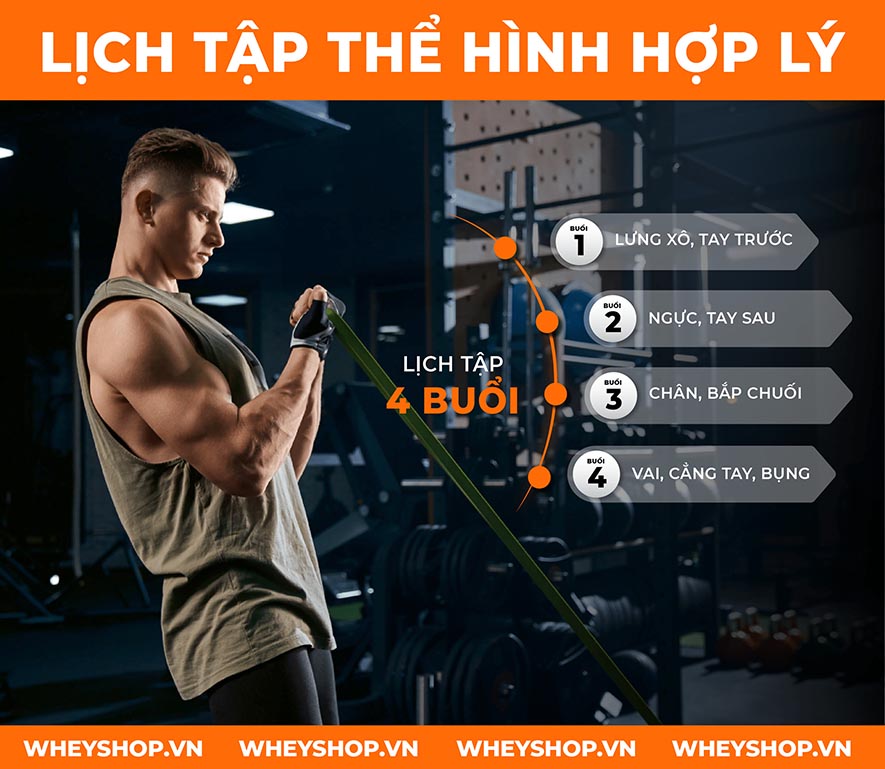 Cùng Dinh Dưỡng Thể Hình tìm hiểu về những lịch tập phát triển cơ bắp hiệu quả và phổ biến nhất hiện nay qua bài viết nhé.