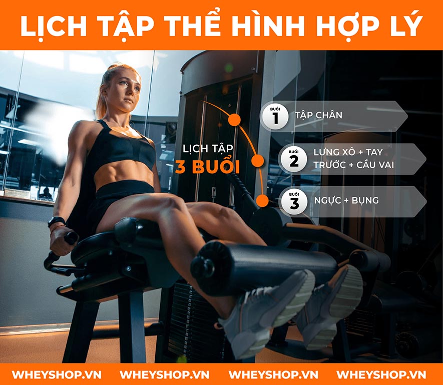 Cùng Dinh Dưỡng Thể Hình tìm hiểu về những lịch tập phát triển cơ bắp hiệu quả và phổ biến nhất hiện nay qua bài viết nhé.