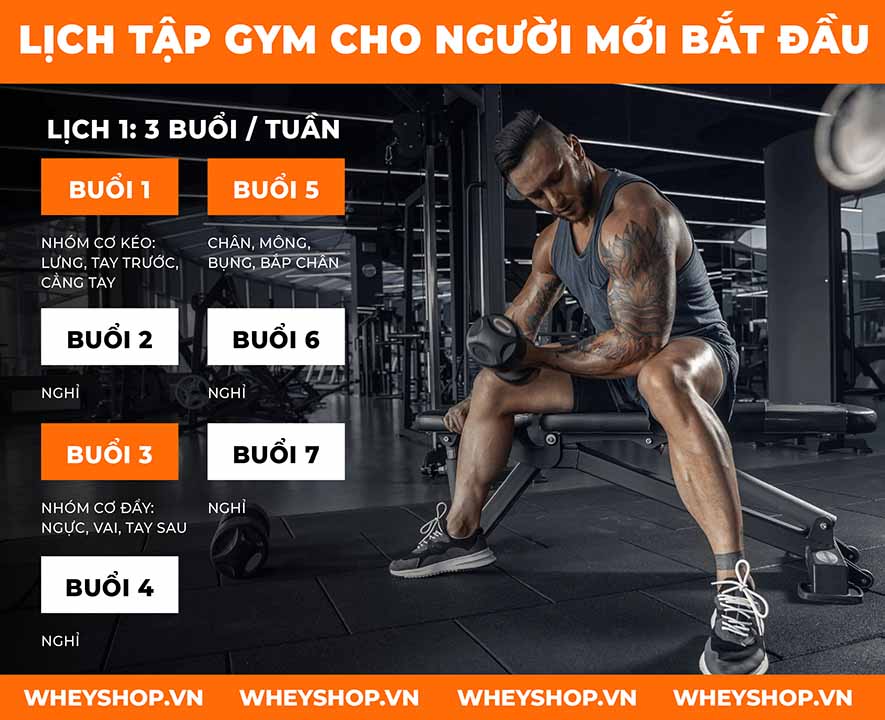 Tập gym là một bộ môn phổ biến hiện nay, mang tới rất nhiều lợi ích cho người tập luyện như cải thiện vóc dáng, sức khỏe, phòng tránh bệnh tật, ...