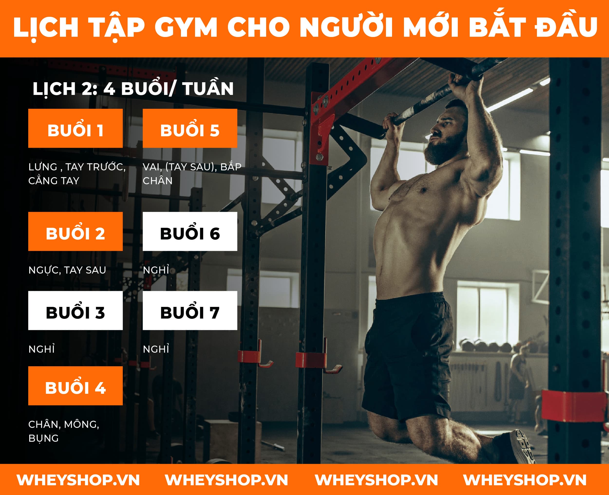 Tập gym là một bộ môn phổ biến hiện nay, mang tới rất nhiều lợi ích cho người tập luyện như cải thiện vóc dáng, sức khỏe, phòng tránh bệnh tật, ...