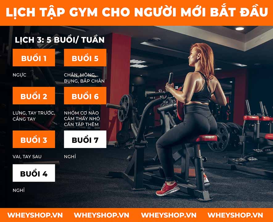 Tập gym là một bộ môn phổ biến hiện nay, mang tới rất nhiều lợi ích cho người tập luyện như cải thiện vóc dáng, sức khỏe, phòng tránh bệnh tật, ...