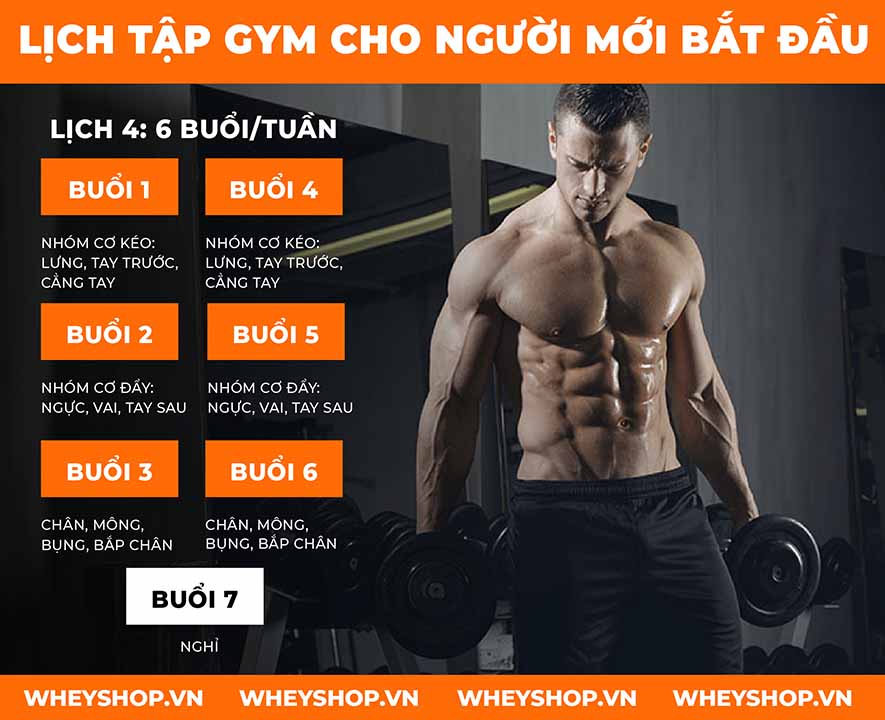 Tập gym là một bộ môn phổ biến hiện nay, mang tới rất nhiều lợi ích cho người tập luyện như cải thiện vóc dáng, sức khỏe, phòng tránh bệnh tật, ...