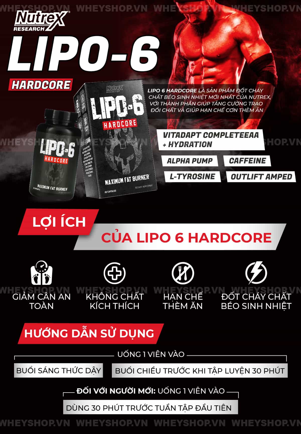 Lipo 6 Hardcore hỗ trợ sinh nhiệt đốt mỡ giảm cân tự nhiên, an toàn và lành tính. Sản phẩm được nhập khẩu chính hãng, cam kết giá rẻ tốt nhất Hà Nội TpHCM...