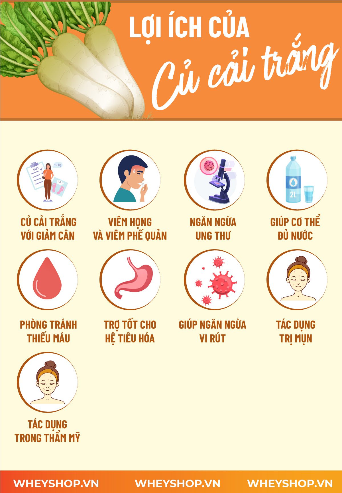Củ cải trắng là thực phẩm quen thuộc hằng ngày, vậy bạn đã hiểu rõ lợi ích của củ cải trắng chưa? Hãy cùng WheyShop tham khảo chi tiết qua bài..