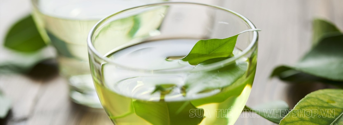 Cùng tìm hiểu ngay lợi ích của trà xanh đối với cơ thể có thể bạn chưa biết, trà xanh giảm cân có tốt không , tìm hiểu chi tiết qua bài viết sau đây...