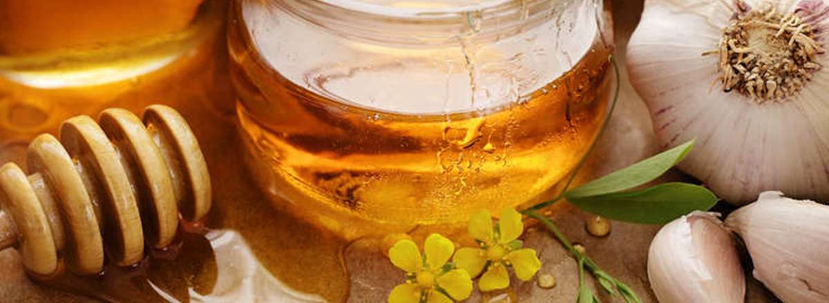 loi ich cua viec giam can voi mat ong giam can voi mat ong va toi