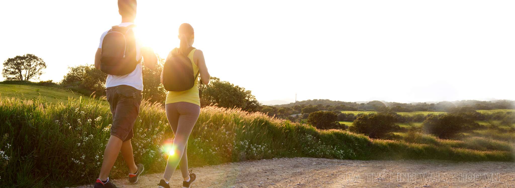 loi ich va han che cua di bo buoi sang 1907