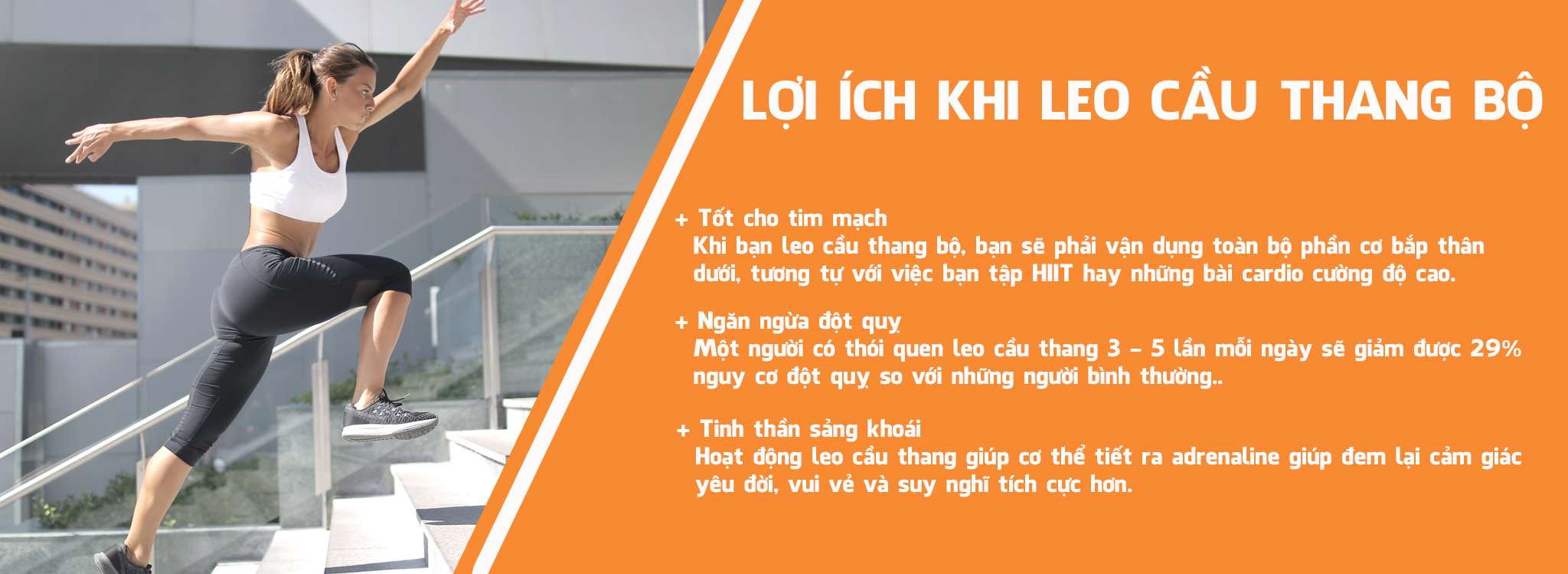 loi ich viec leo cau thang wheyshop