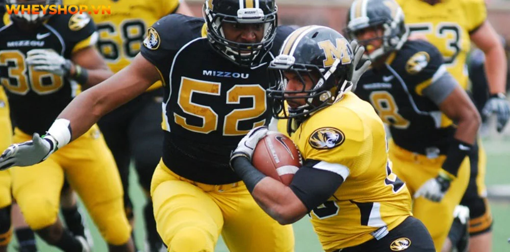 Bóng bầu dục là một môn thể thao phổ biến trên khắp thế giới. Đây là môn thể thao đồng đội được nhiều bạn trẻ yêu thích và lựa chọn tham gia. Cùng WheyShop...