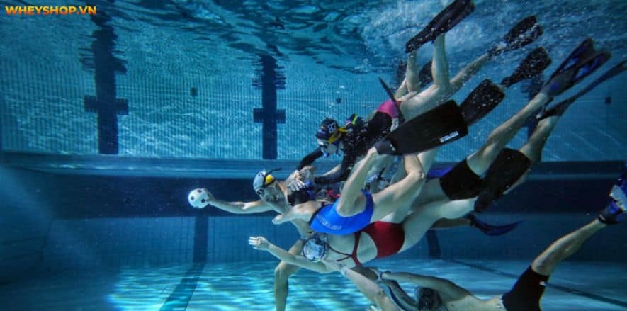 Bóng nước là môn thể thao đồng đội dưới nước. Mọi thông tin về môn bóng nước sẽ được giới thiệu qua bài viết này của WheyShop, hãy cùng tìm tìm hiểu...