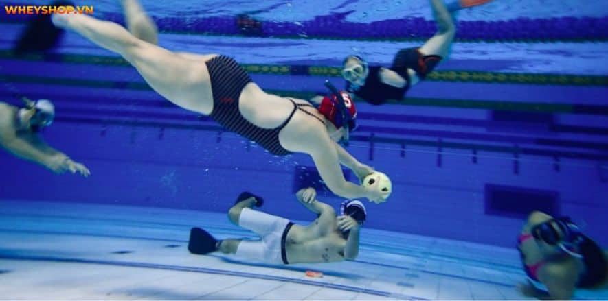 Bóng nước là môn thể thao đồng đội dưới nước. Mọi thông tin về môn bóng nước sẽ được giới thiệu qua bài viết này của WheyShop, hãy cùng tìm tìm hiểu...