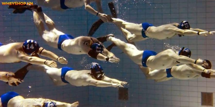 Bóng nước là môn thể thao đồng đội dưới nước. Mọi thông tin về môn bóng nước sẽ được giới thiệu qua bài viết này của WheyShop, hãy cùng tìm tìm hiểu...