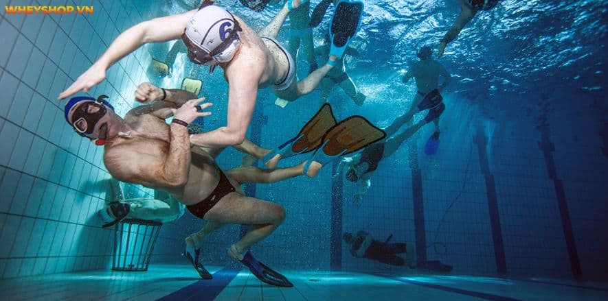 Bóng nước là môn thể thao đồng đội dưới nước. Mọi thông tin về môn bóng nước sẽ được giới thiệu qua bài viết này của WheyShop, hãy cùng tìm tìm hiểu...