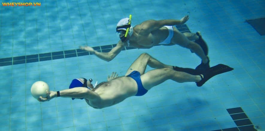Bóng nước là môn thể thao đồng đội dưới nước. Mọi thông tin về môn bóng nước sẽ được giới thiệu qua bài viết này của WheyShop, hãy cùng tìm tìm hiểu...