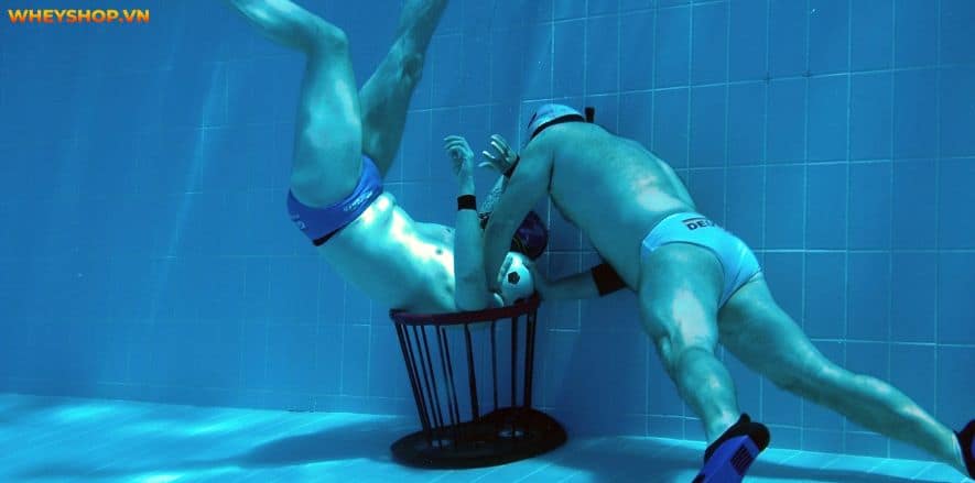 Bóng nước là môn thể thao đồng đội dưới nước. Mọi thông tin về môn bóng nước sẽ được giới thiệu qua bài viết này của WheyShop, hãy cùng tìm tìm hiểu...